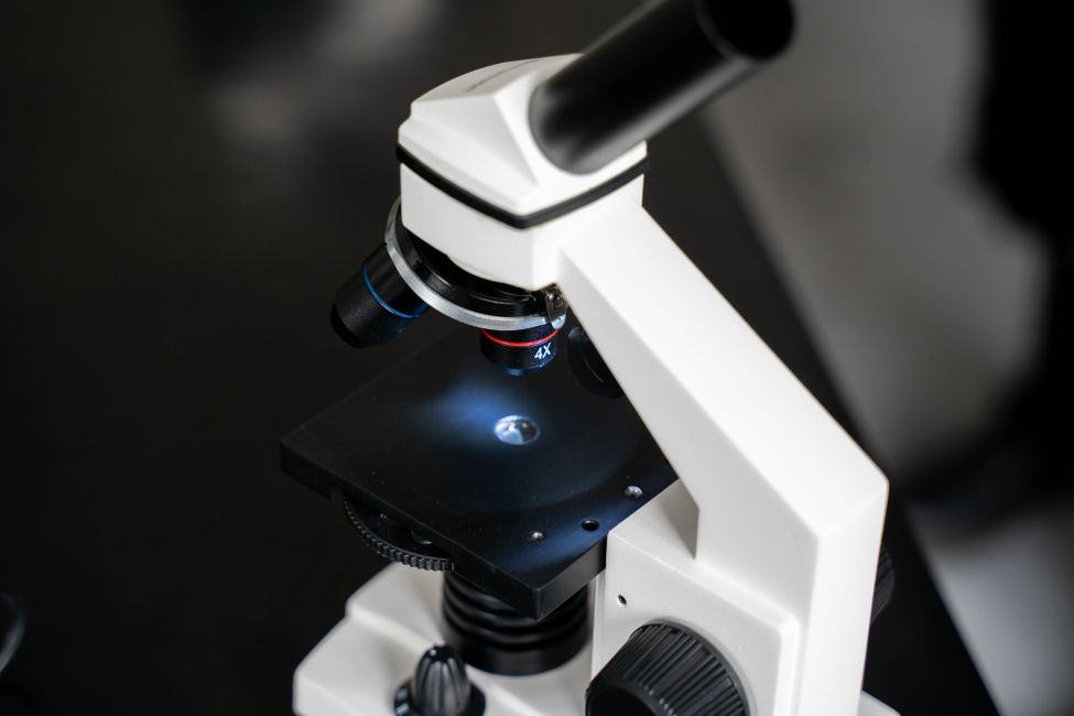 Picture for Tiny lab-grown brains could one day help match Alzheimer's patients to the right treatment