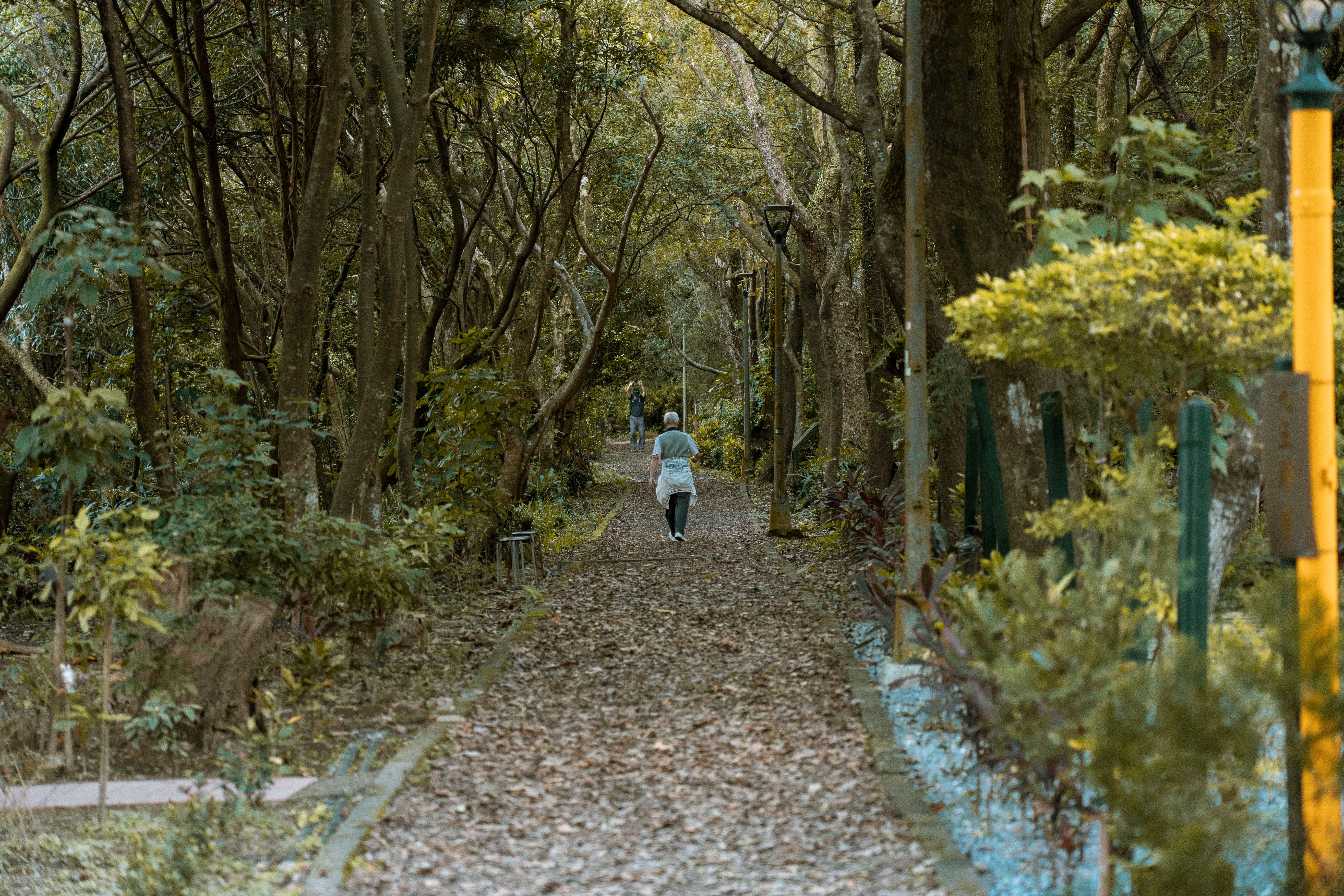 Artwork for Running at Sixty Percent: Closing the Gap to Full Aliveness With Dr. Larry Freeney