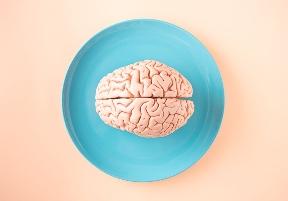 brain activity neural pathways