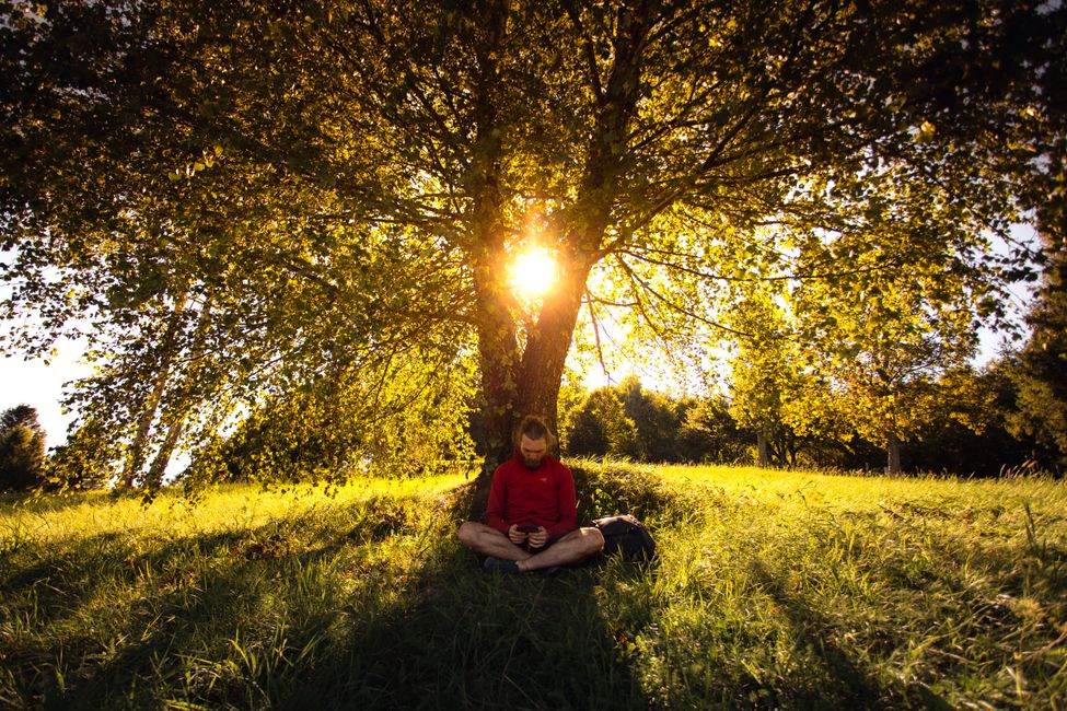 Picture for A Major Study Just Measured What Loneliness Does to Us