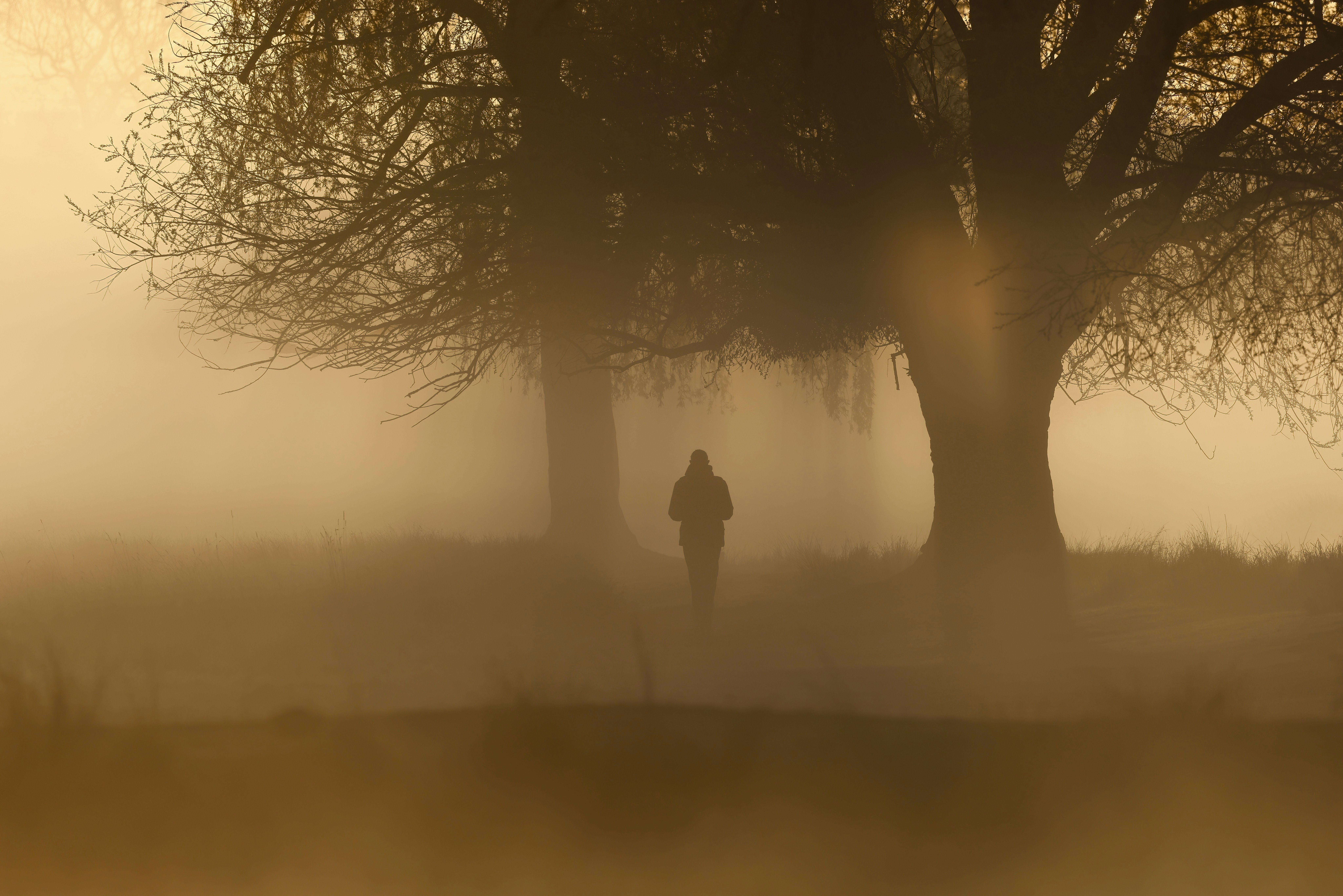 Artwork for Finding Meaning in Everyday Life: Gratitude, Purpose and Instinct with Dennis J. Henson