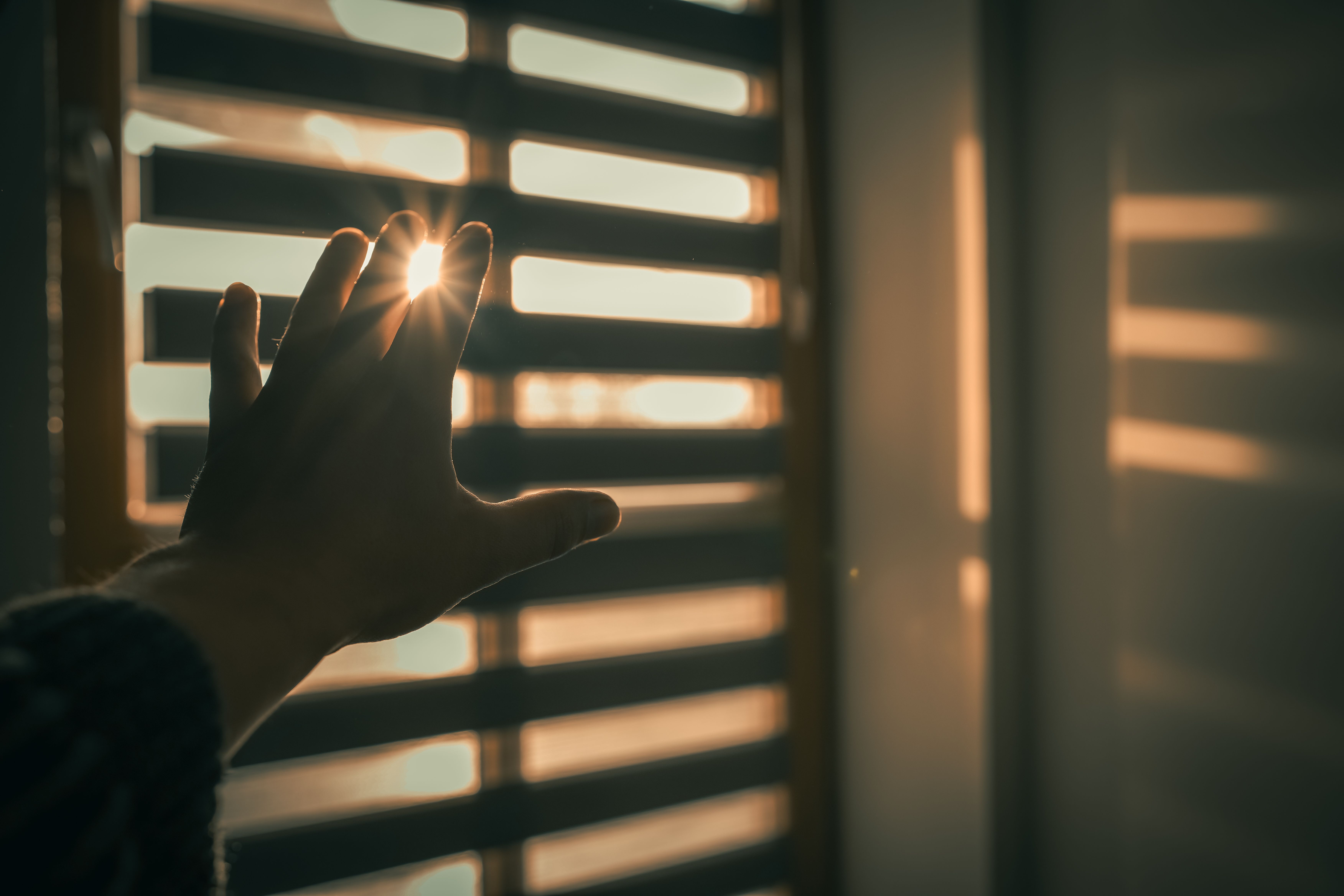 Artwork for Healing From Trauma: Hyperthymesia Counselor Frank Healy on Turning Pain Into Purpose