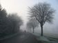 Artwork for Healing Is a Path, Not a Finish Line | Brian Nugent