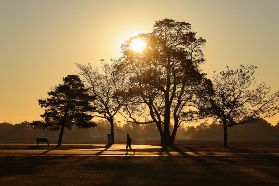 Picture for Global Research Confirms Exercise Rivals Medication for Depression and Anxiety