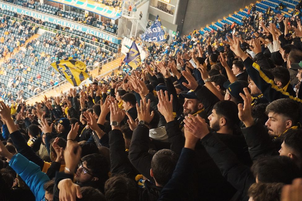 Picture for Why Your Team's Loss Feels Like a Personal Wound, According to Brain Science