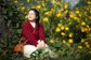 Artwork for Learning Healing, Not Earning It: Sarah Duncan on The Healing Mindset