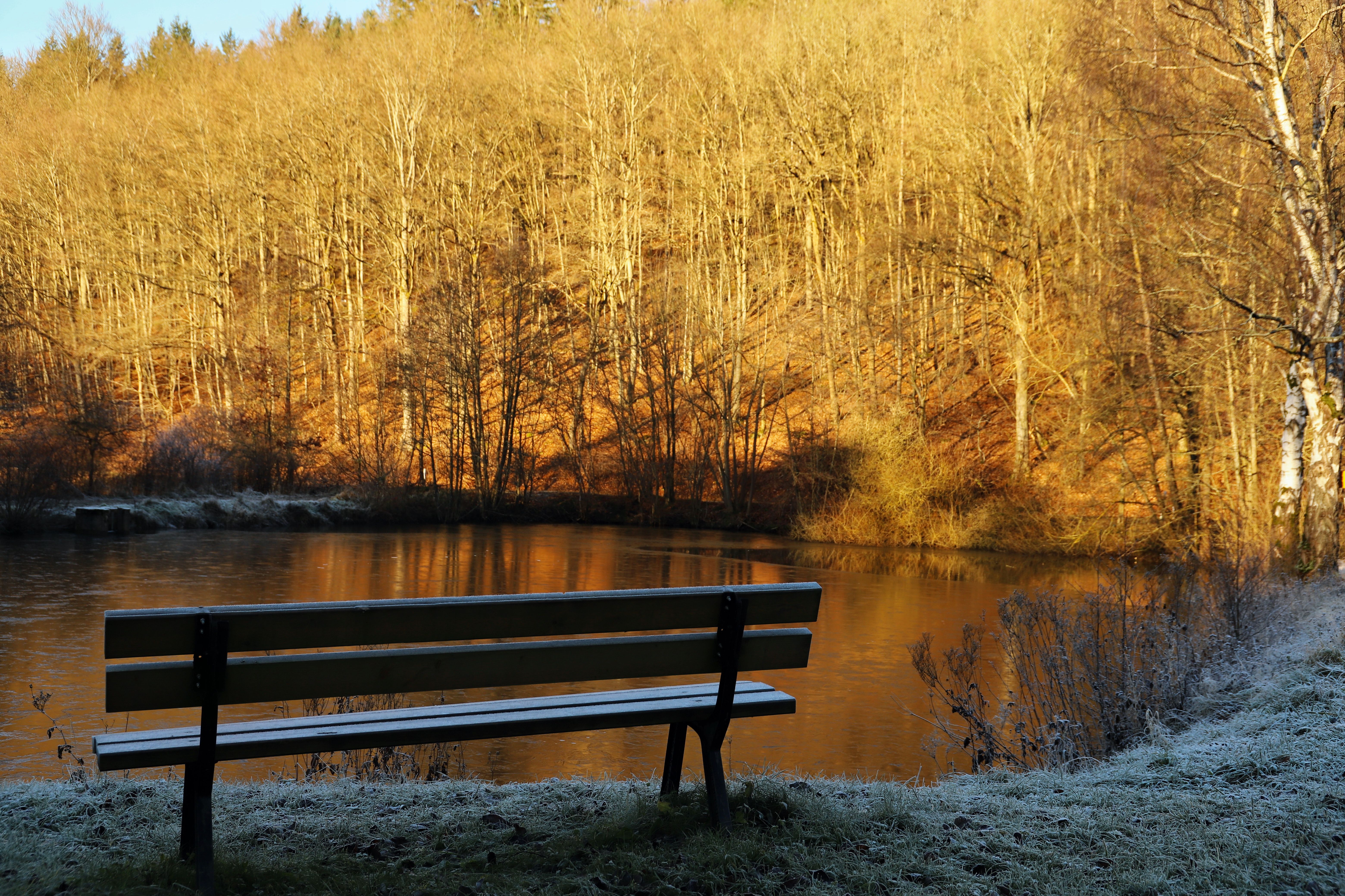 A serene winter scene featuring a bench by a frost-covered lake at sunrise.