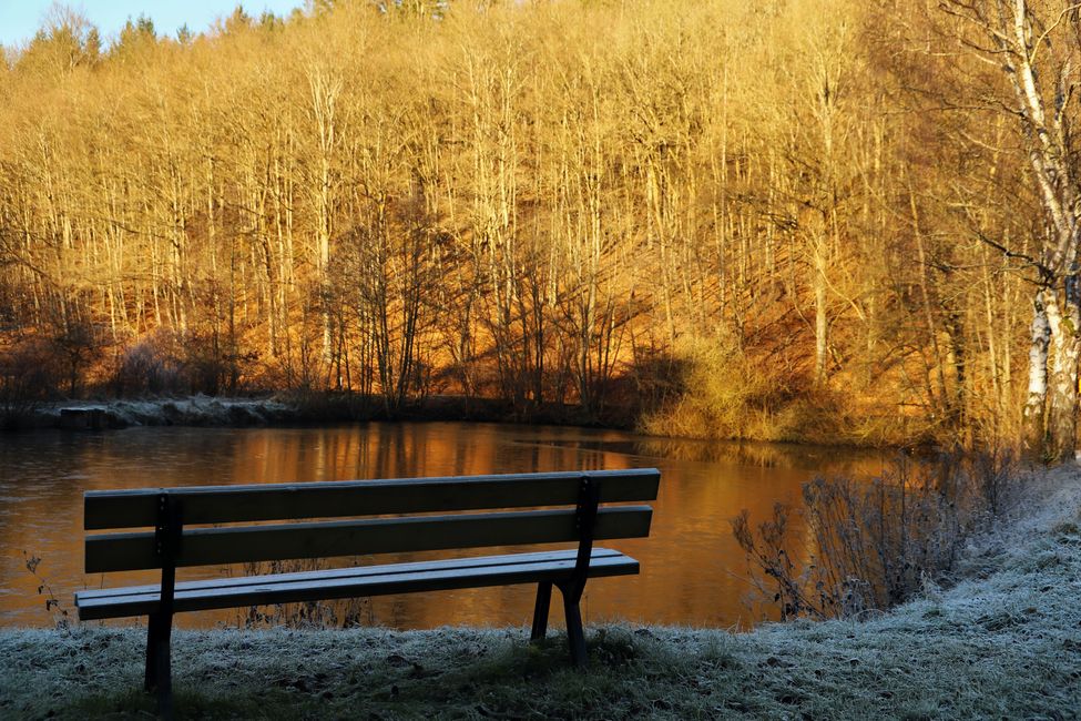 A serene winter scene featuring a bench by a frost-covered lake at sunrise.