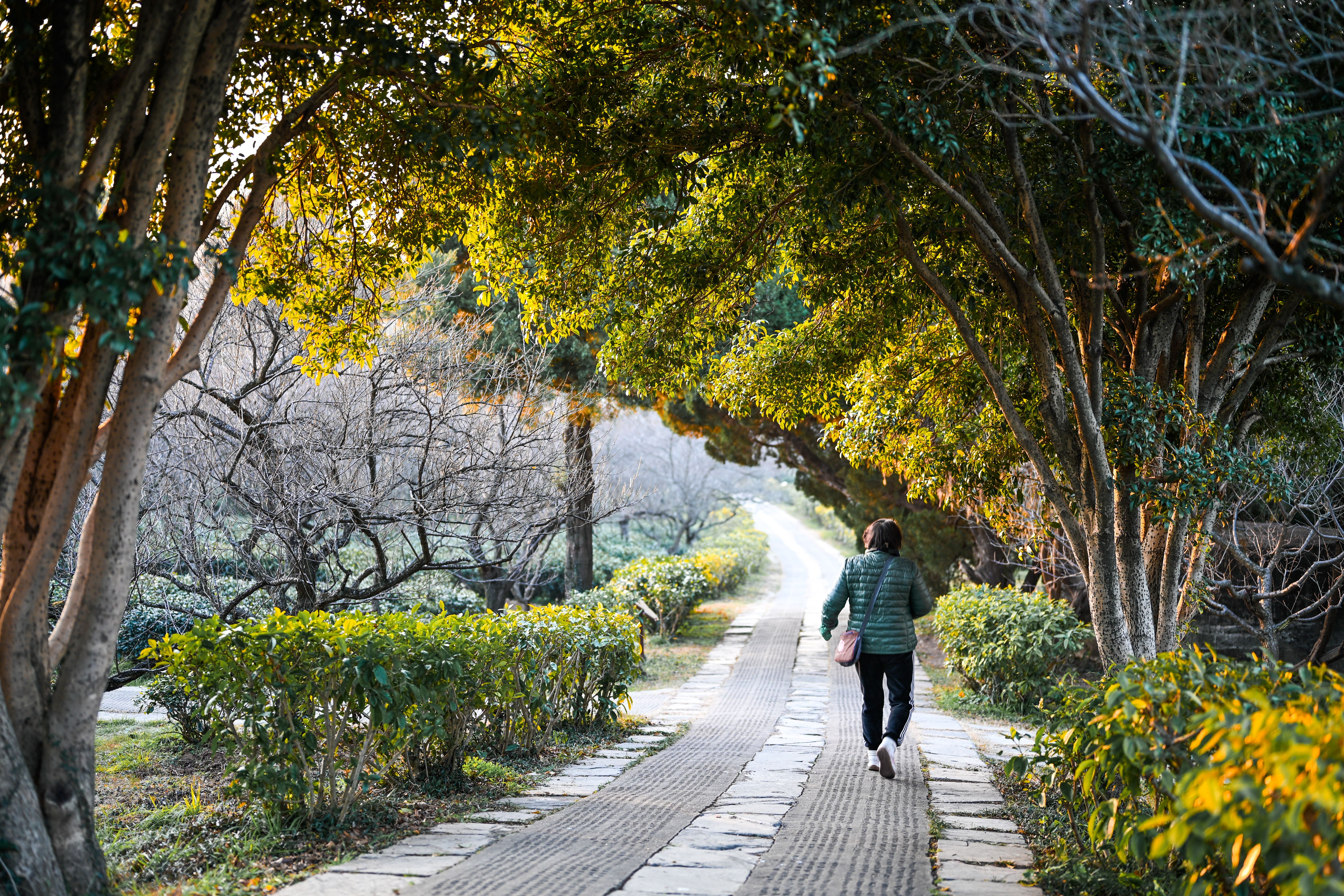 person walking outdoor path