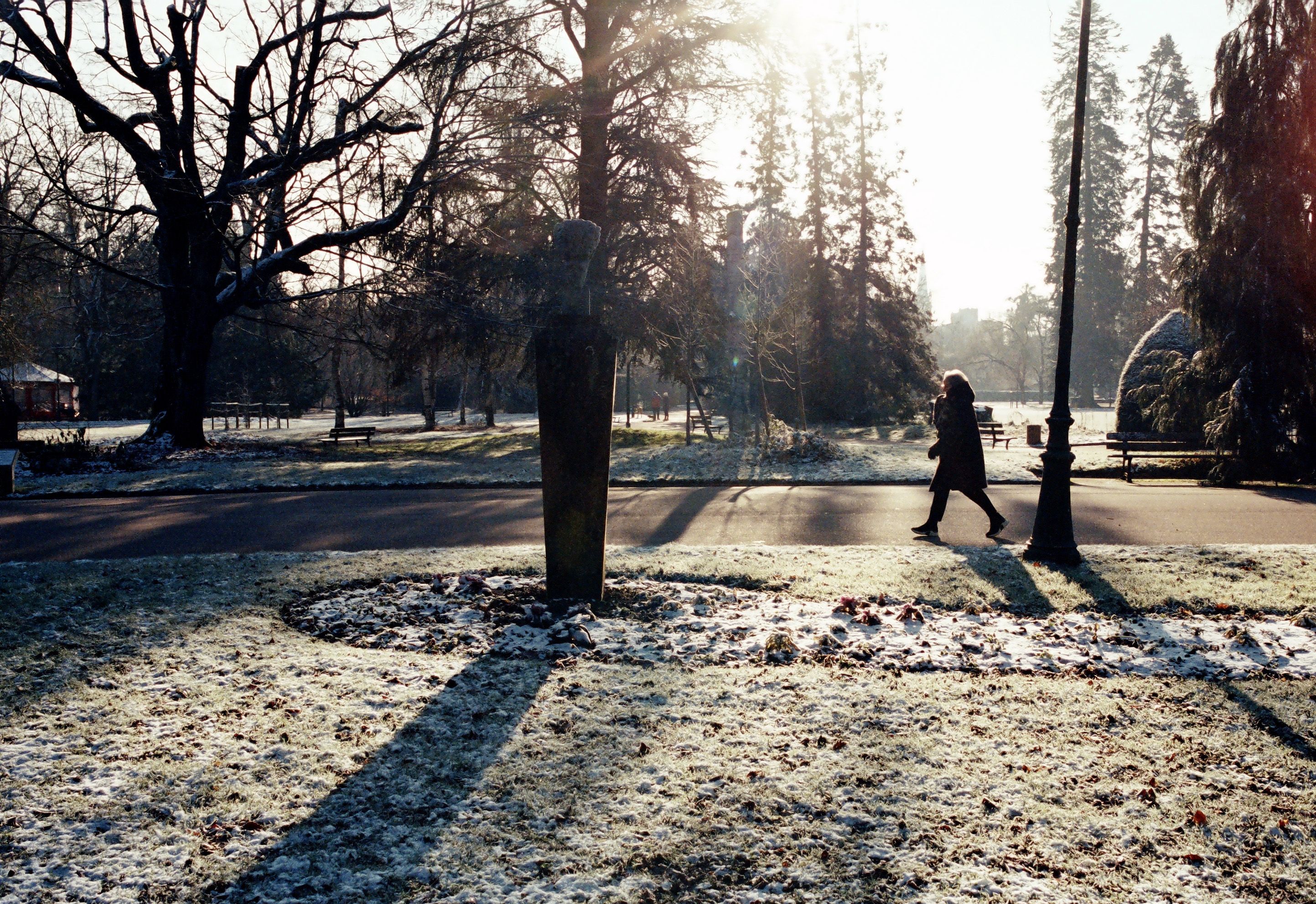person walking in morning light