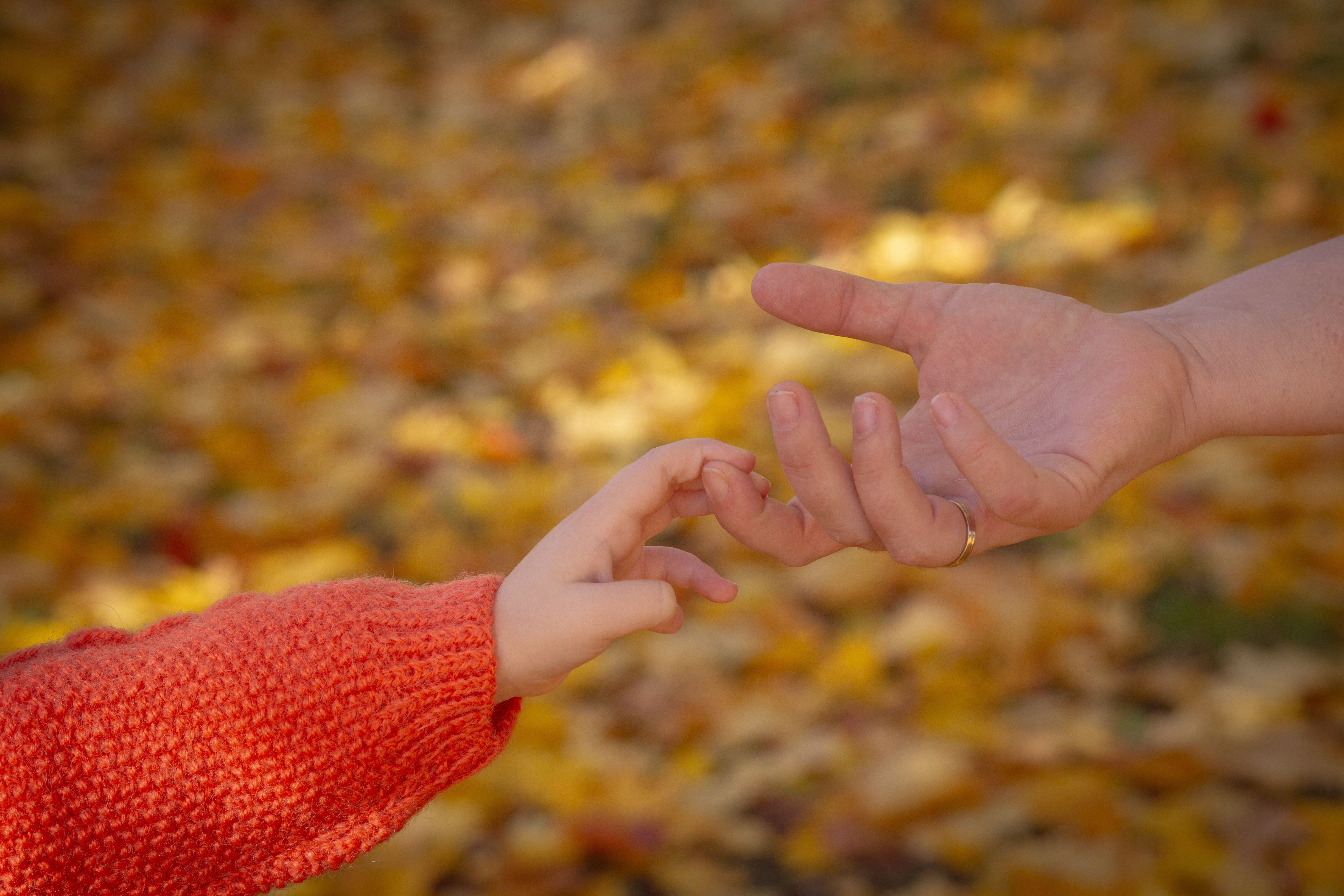 Artwork for Leadership Patterns Rooted in Childhood: Theresa Gale on BizBlend
