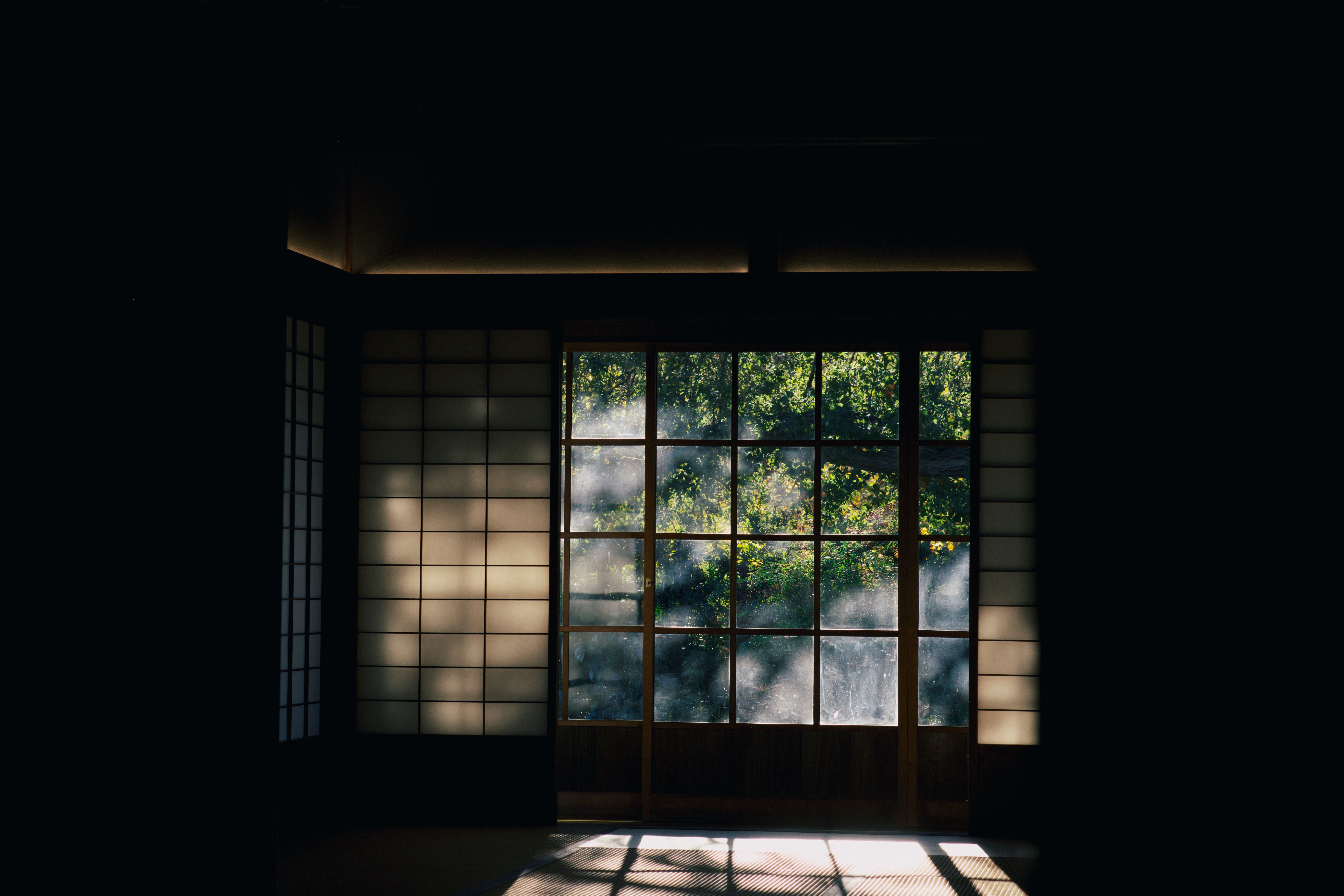 Artwork for Environment, Identity, and Healing: RD Ravenwood on The Healing Mindset