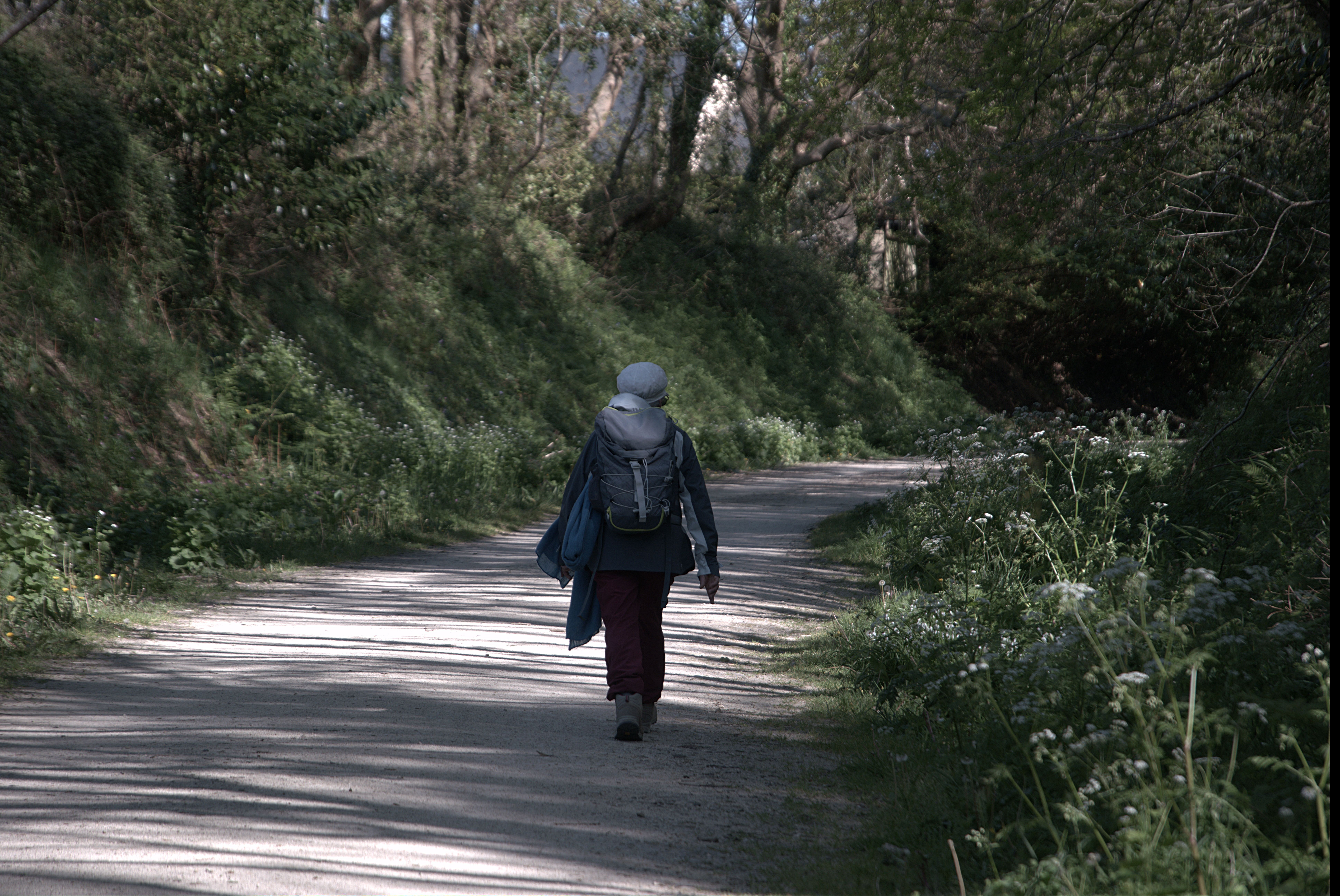 Artwork for A Hike Is Something You Finish. A Pilgrimage Finishes You, with Reino Gevers