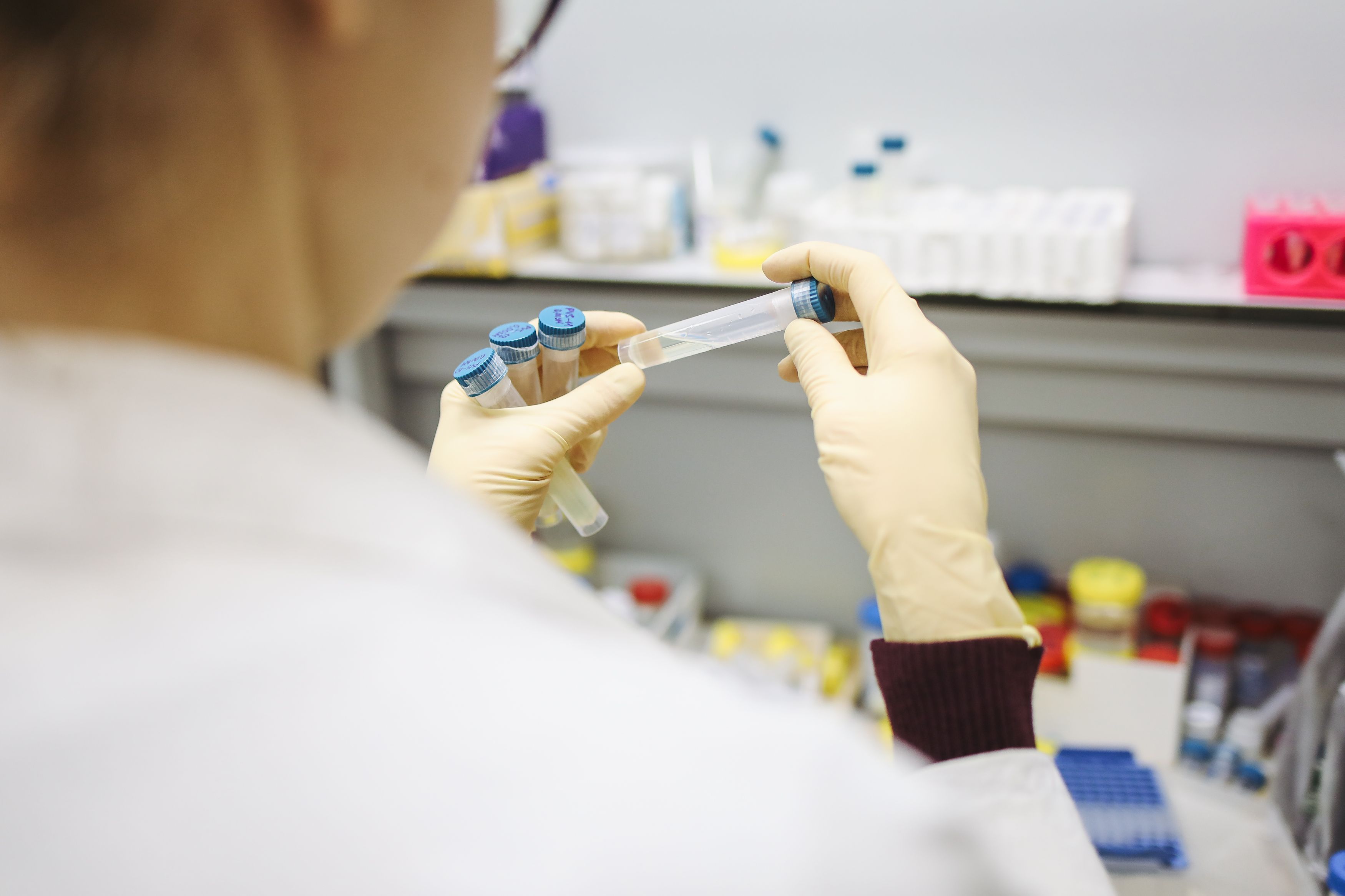 researcher examining laboratory samples