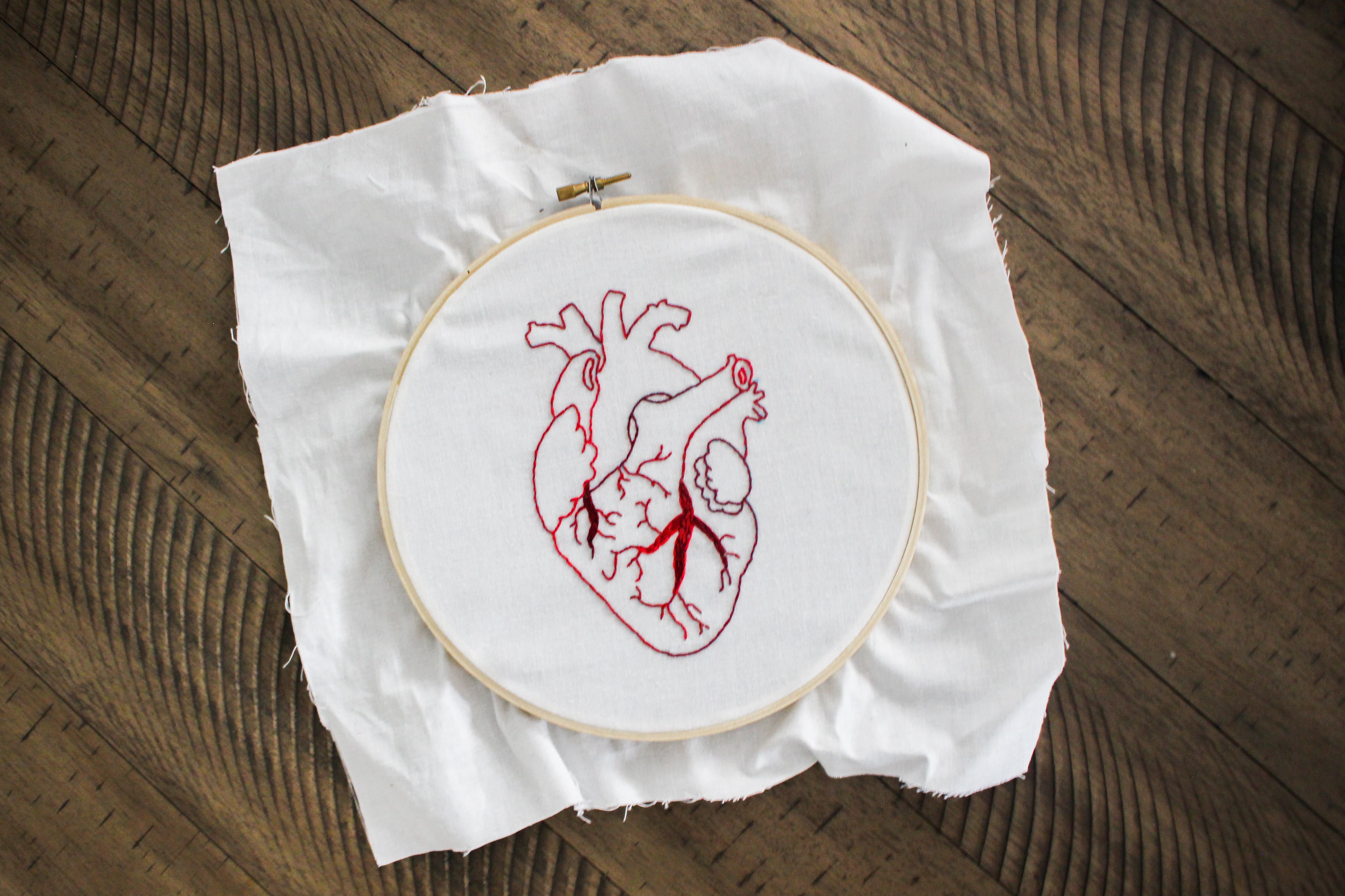human heart close up