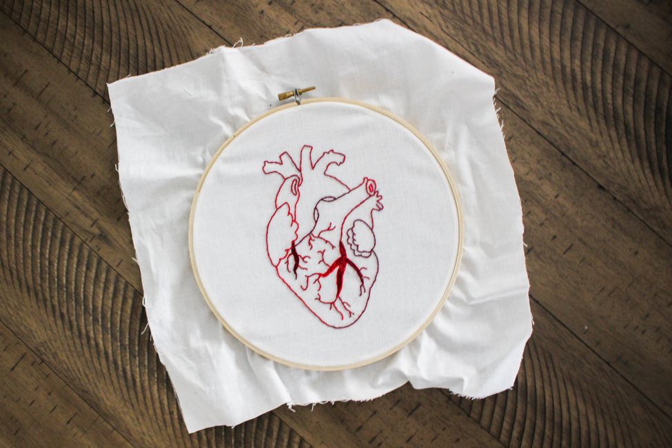 human heart close up