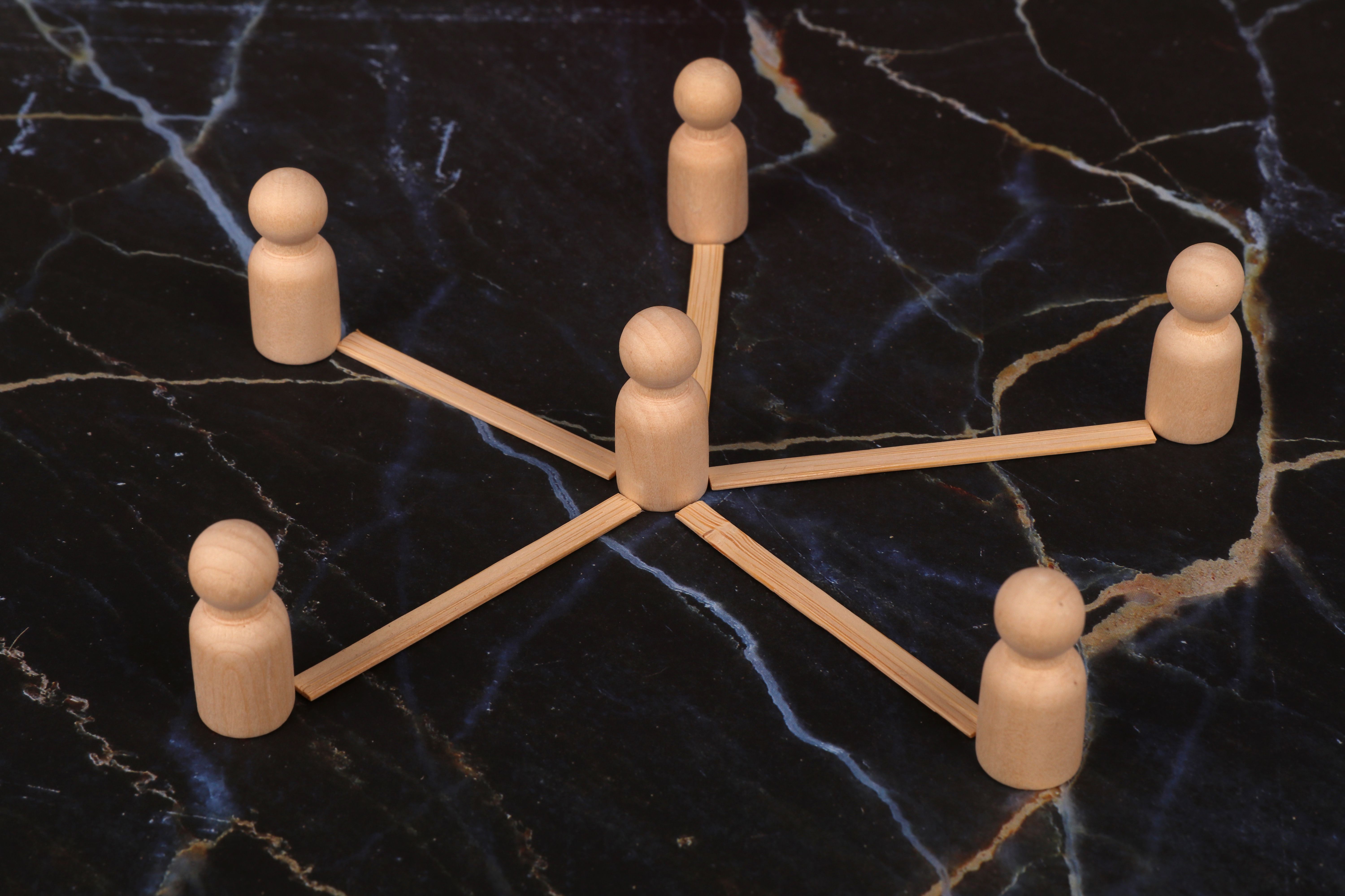 serotonin neuron network diagram