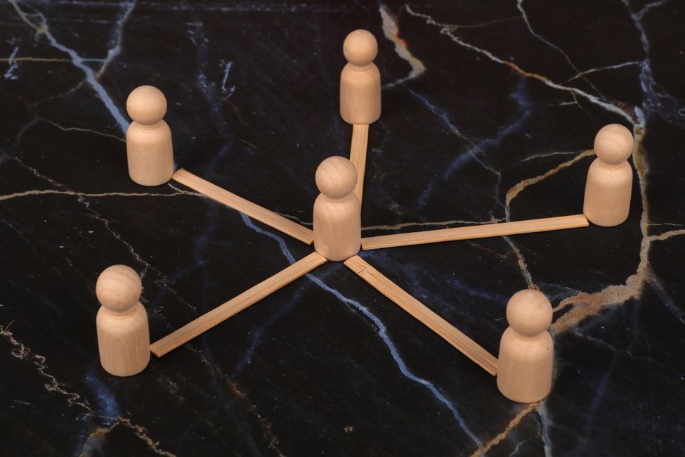 serotonin neuron network diagram