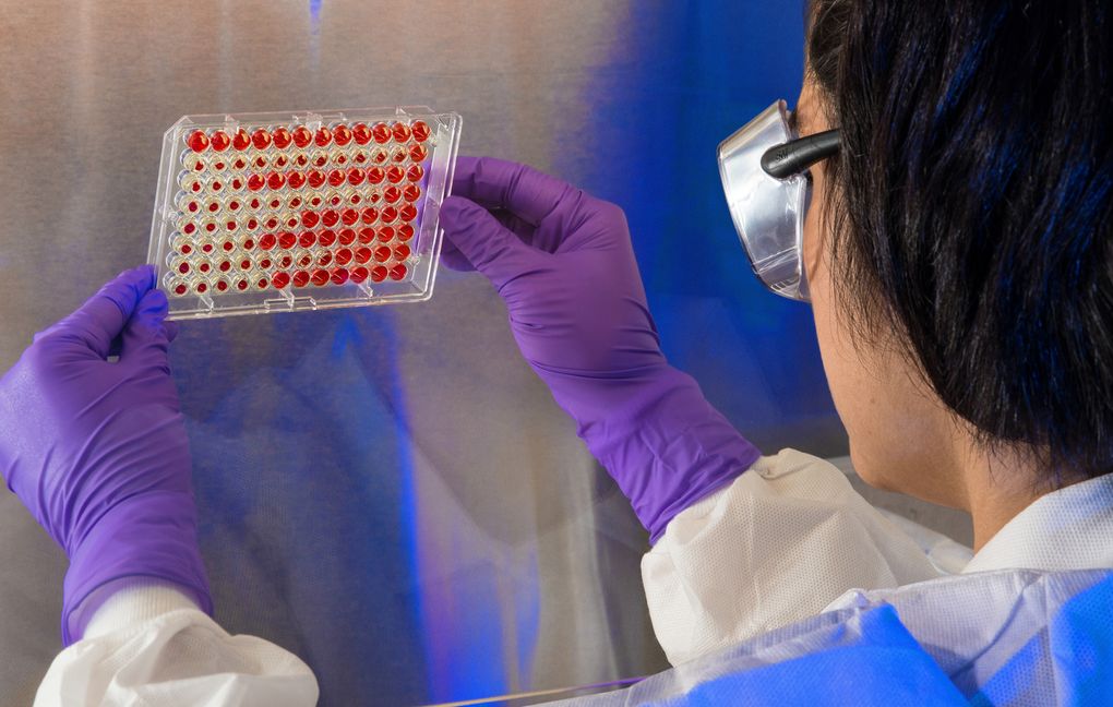 researcher examining lab samples