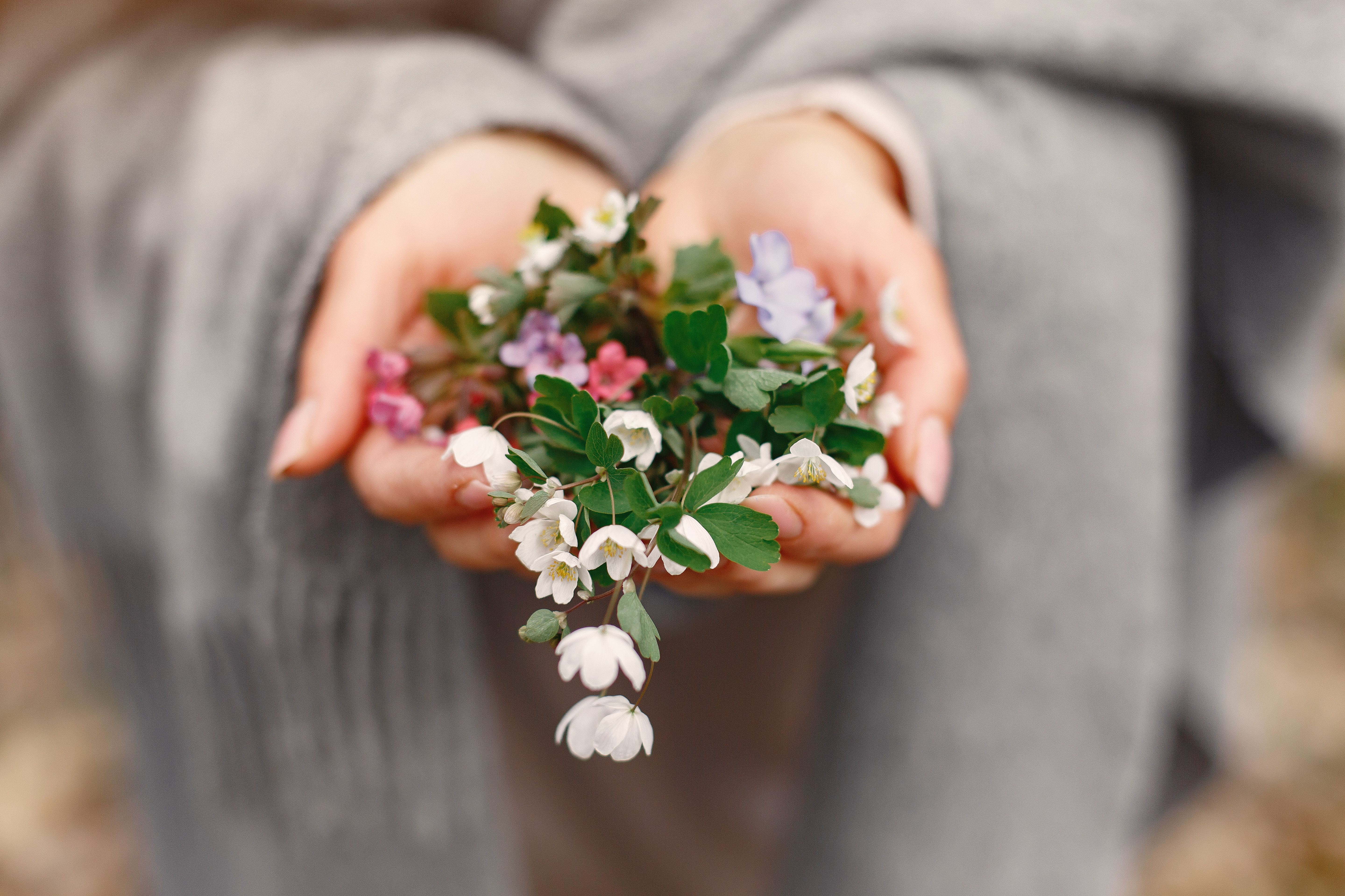 Artwork for A Healing Mindset After Loss: Grief and Gratitude with Mark Stackpole
