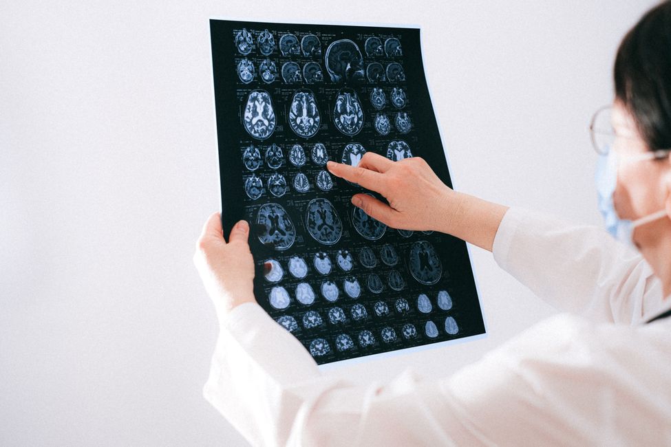Picture for Research finds structural brain difference linked to psychopathic traits