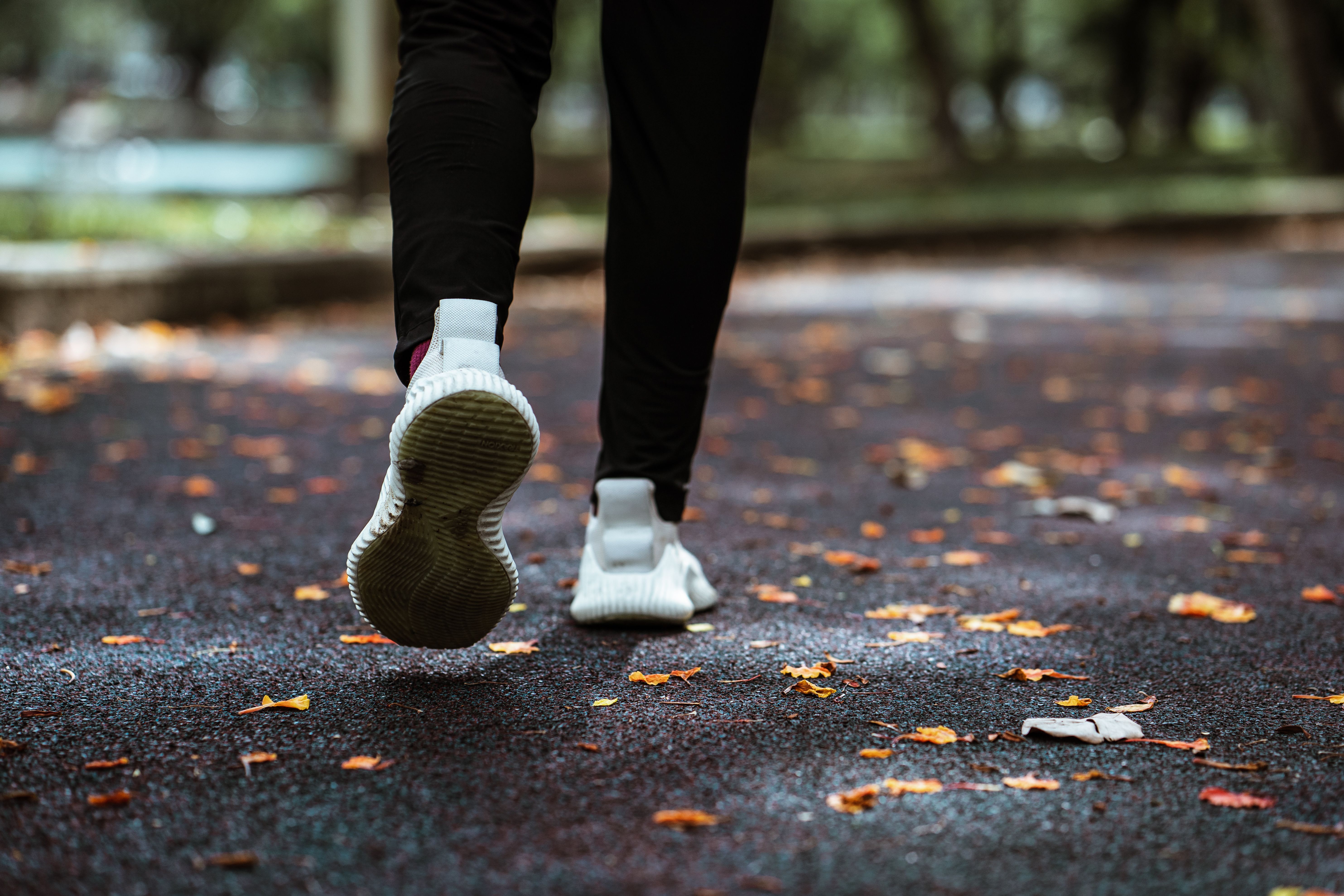 jogging shoes on park path