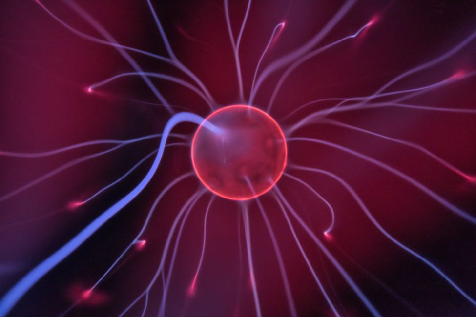 Picture for The brain cells that help us push through when things get hard