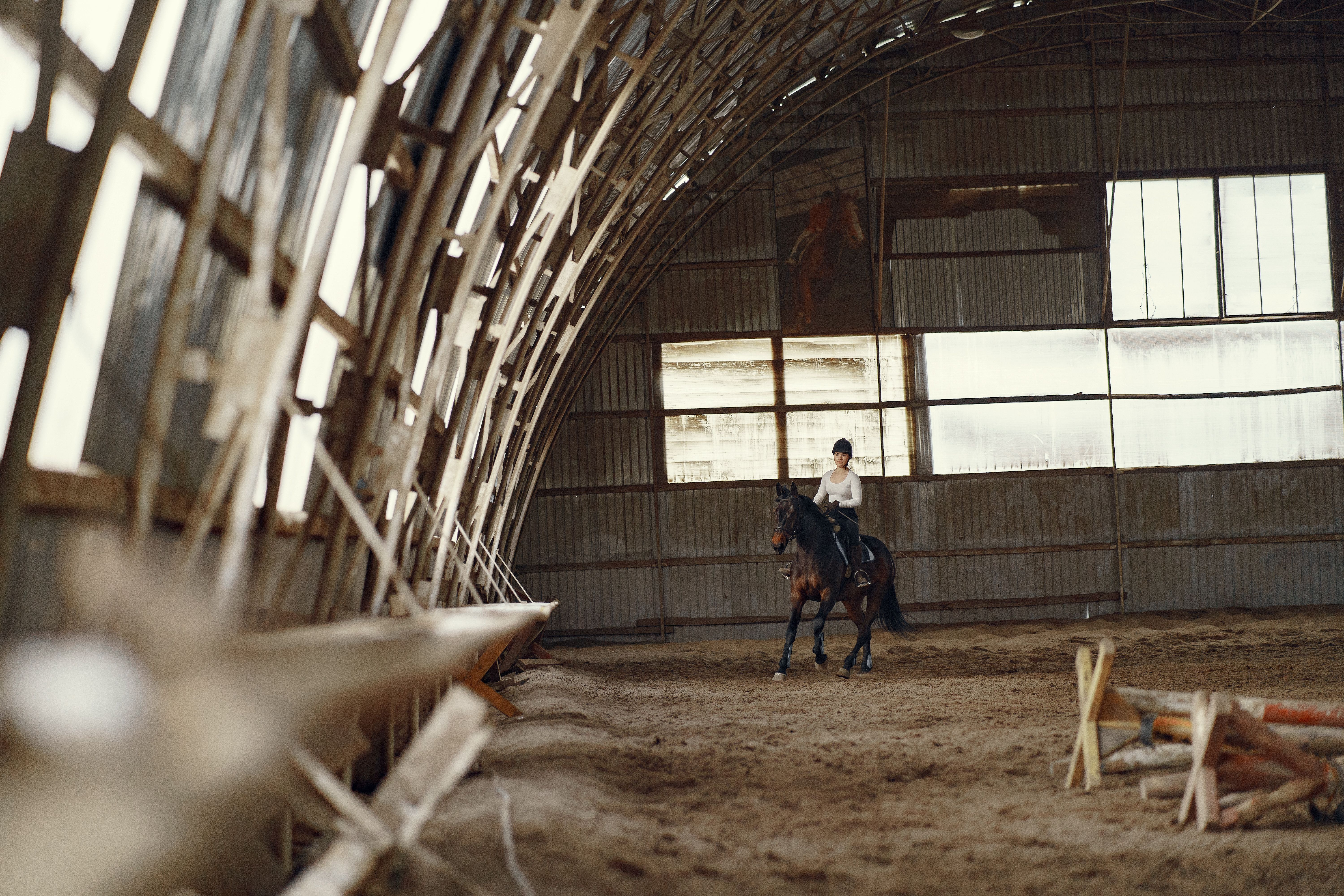 Artwork for Overcoming Self-Doubt Through Mental Resilience: Lessons From Horses with Silvia Rizzo