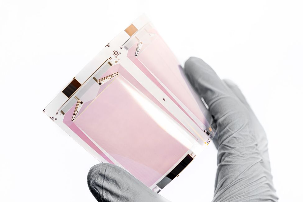 flexible electronic neural device