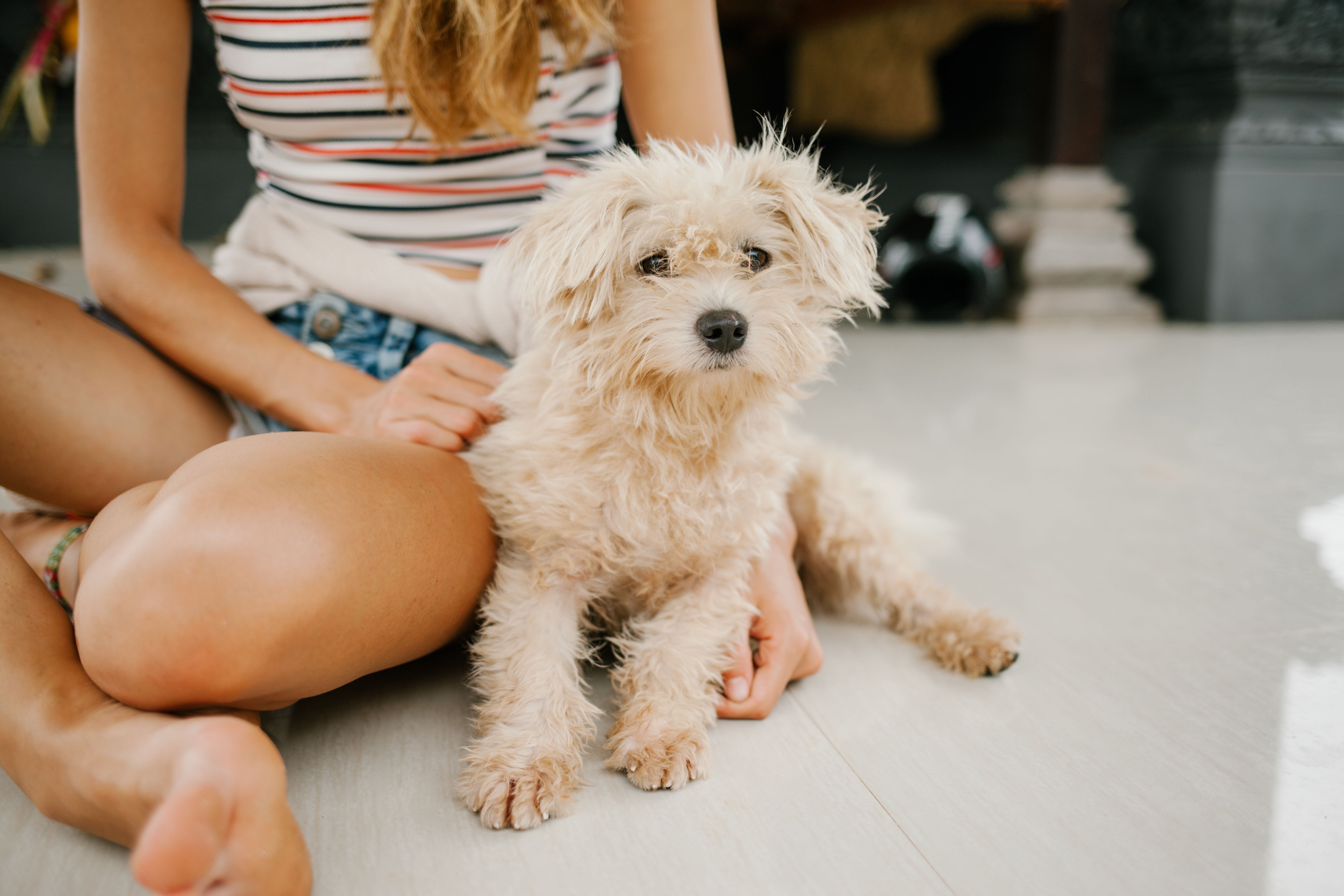 Dog and owner sitting together