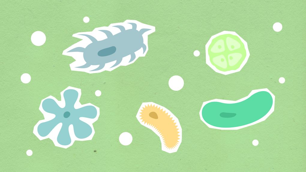 abstract cellular biology illustration
