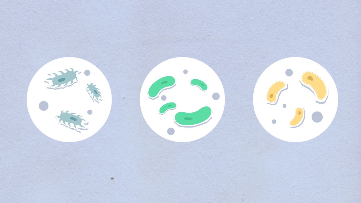 Picture for New research connects immune system to depression and other mental health conditions