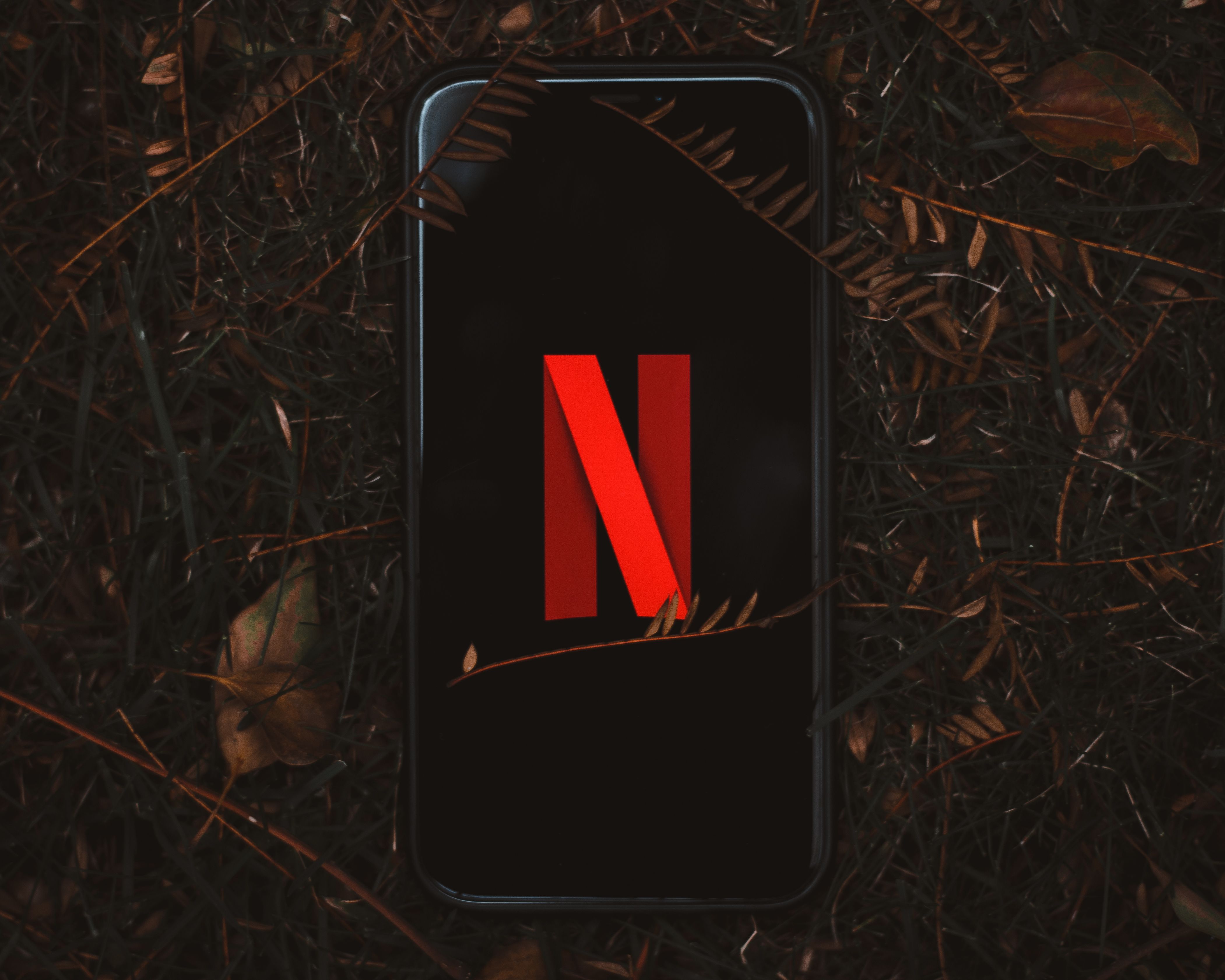 Netflix logo on screen