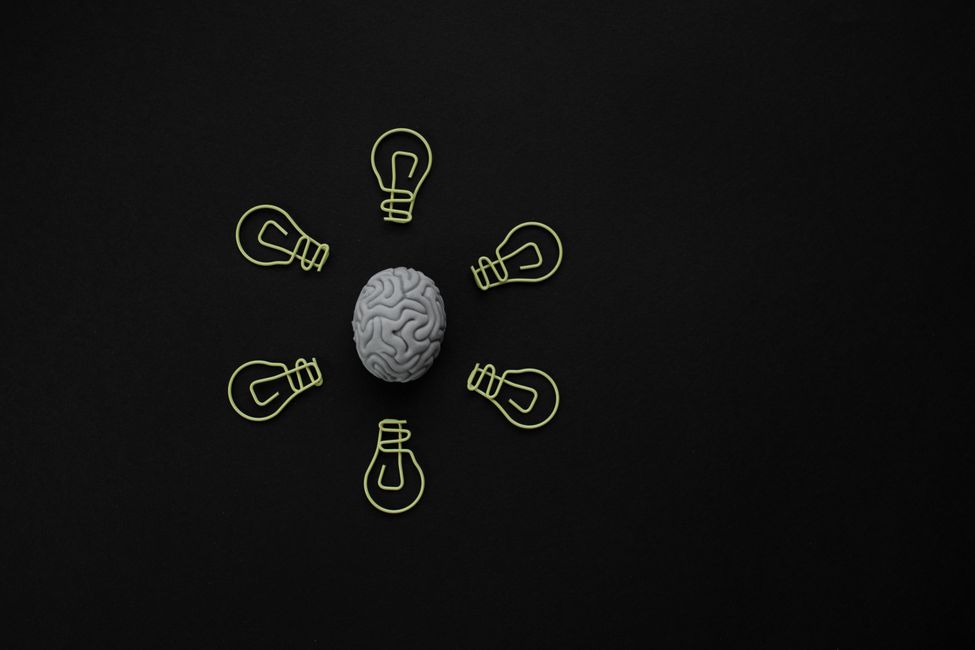brain activity light patterns