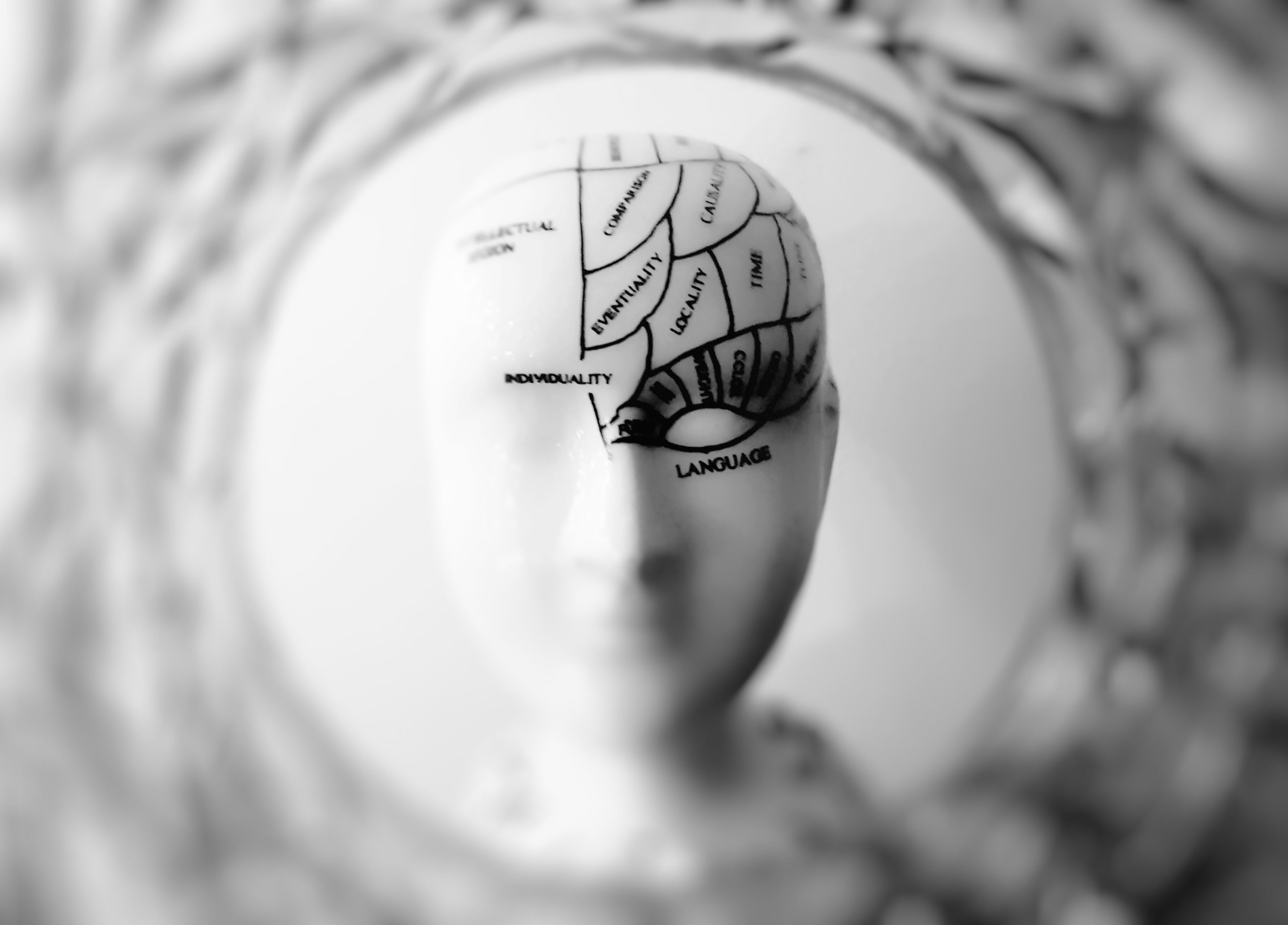 Picture for Scientists find the brain's resilience switch, opening new doors for mental health care