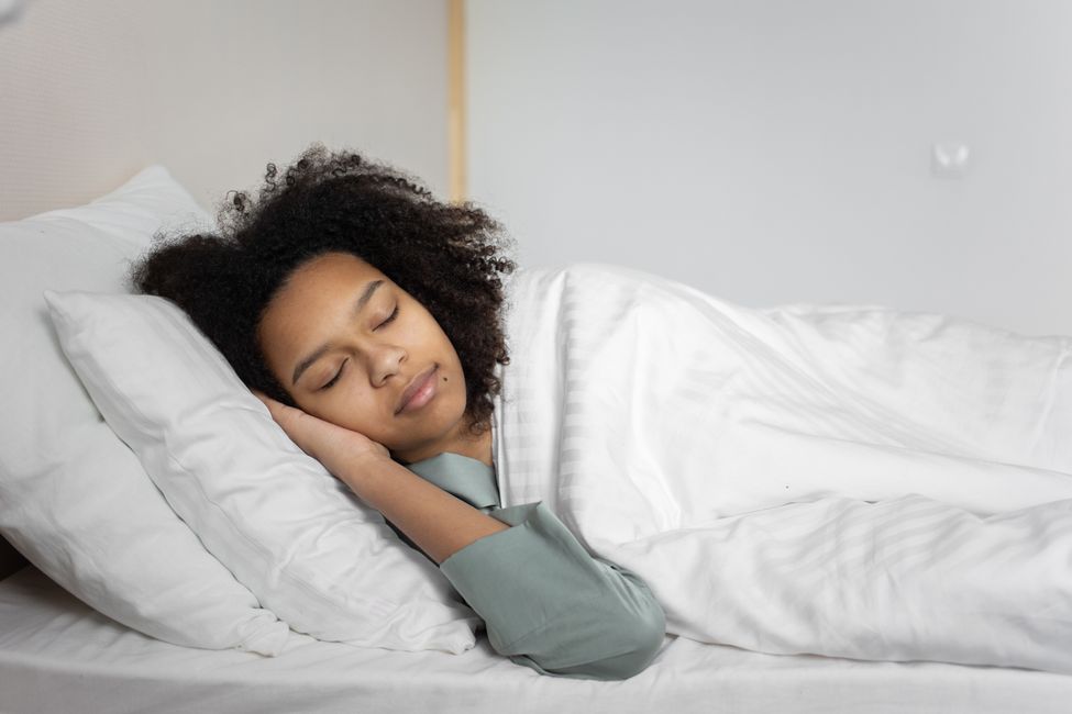Picture for The sleep circuit that repairs your body while you rest