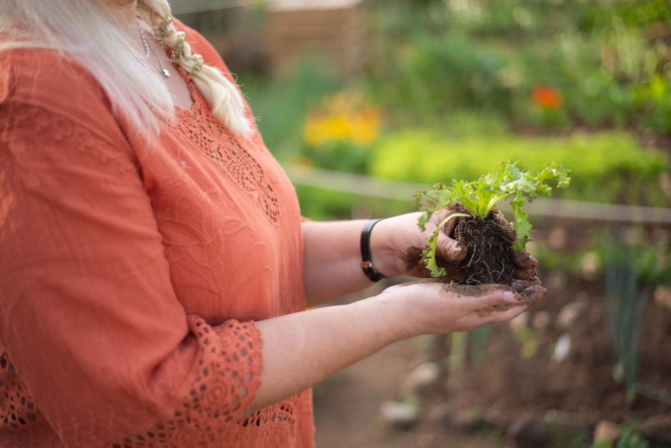 Picture for Regenerative Living: How to Move From Depletion to Restoration