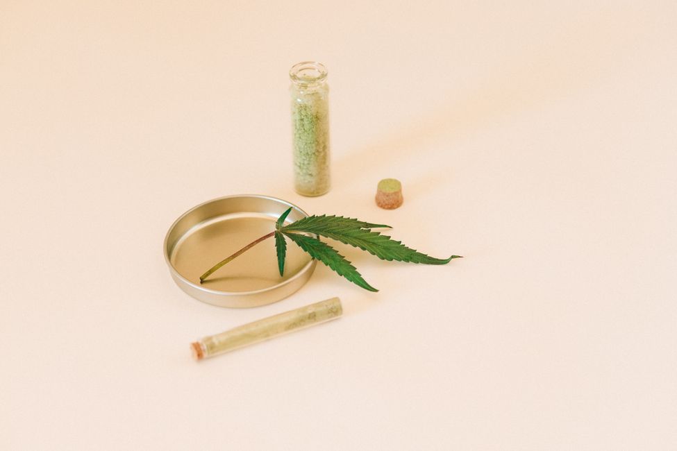 Picture for Major Review Questions Cannabis for Mental Health Conditions