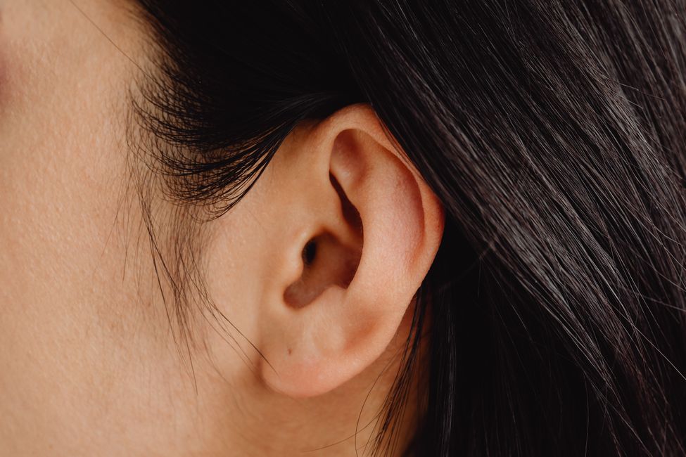 Picture for Why the brain chemical behind antidepressants might make tinnitus worse