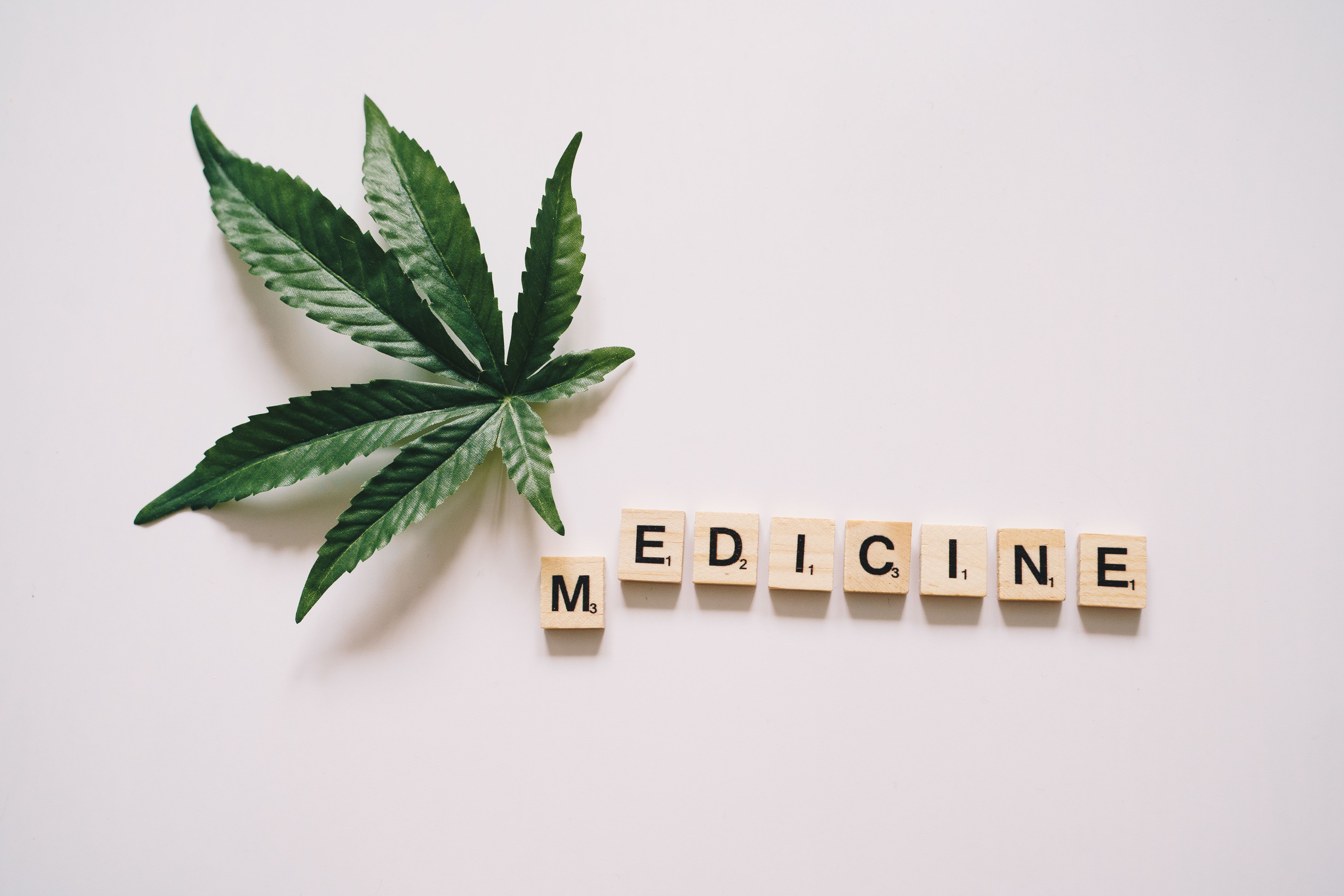cannabis leaf medical context