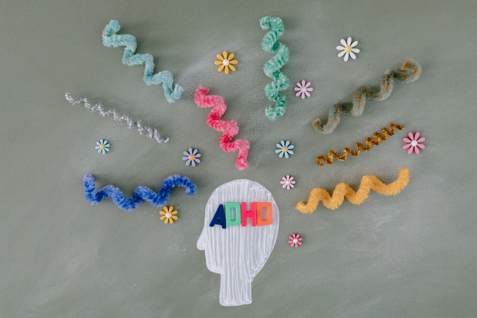 brain illustration with pathways