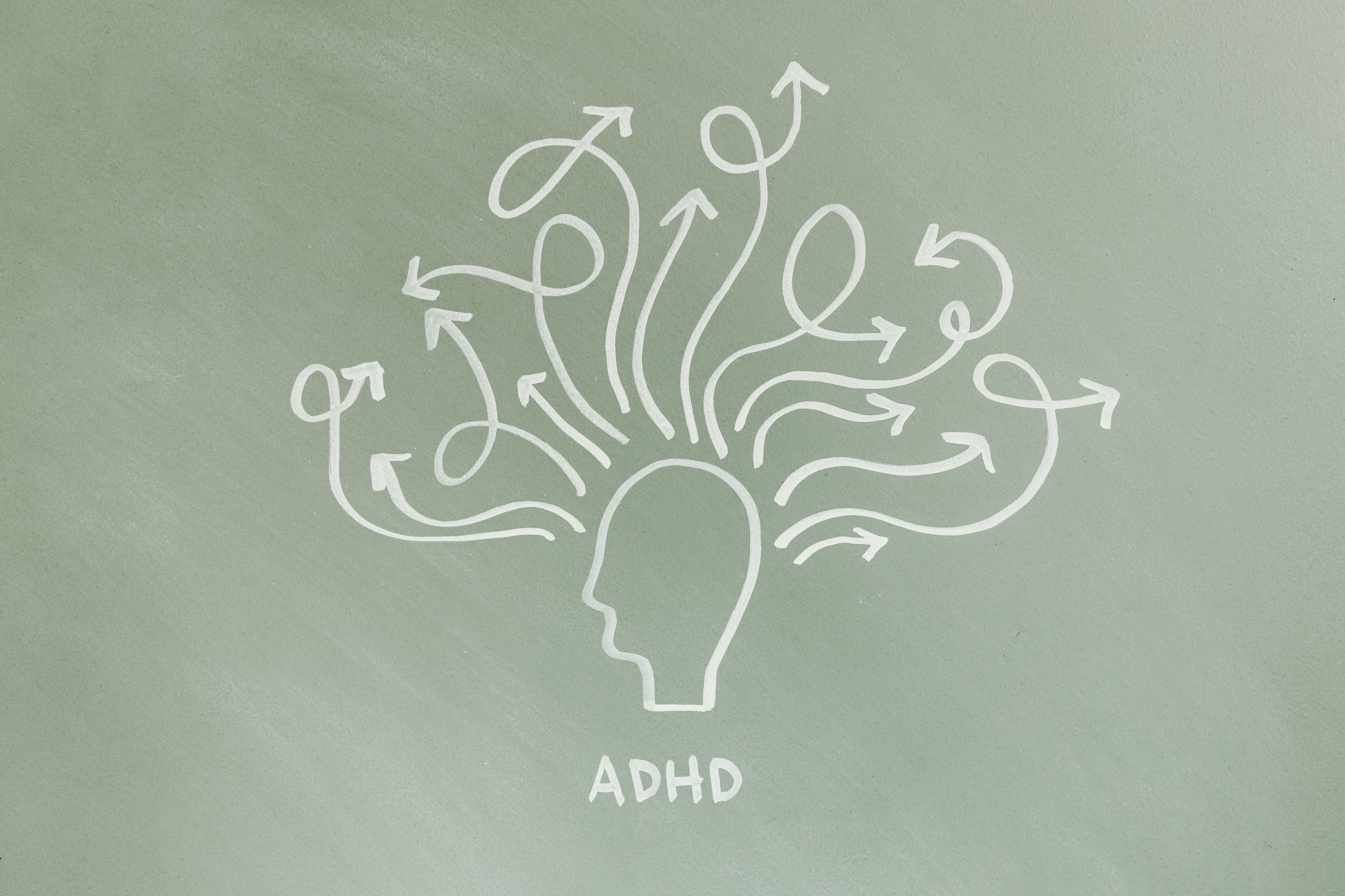 gut brain connection illustration
