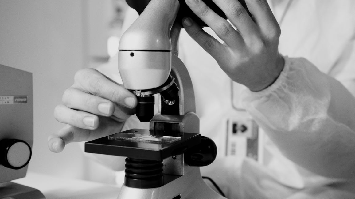 Picture for Lab-Grown Mini Brains Show Distinct Signals in Schizophrenia and Bipolar Disorder
