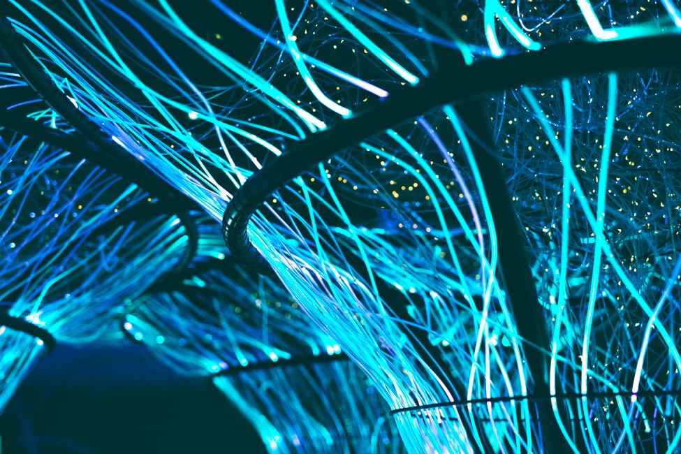 Picture for Researchers identify brain circuit that could unlock new anxiety treatments