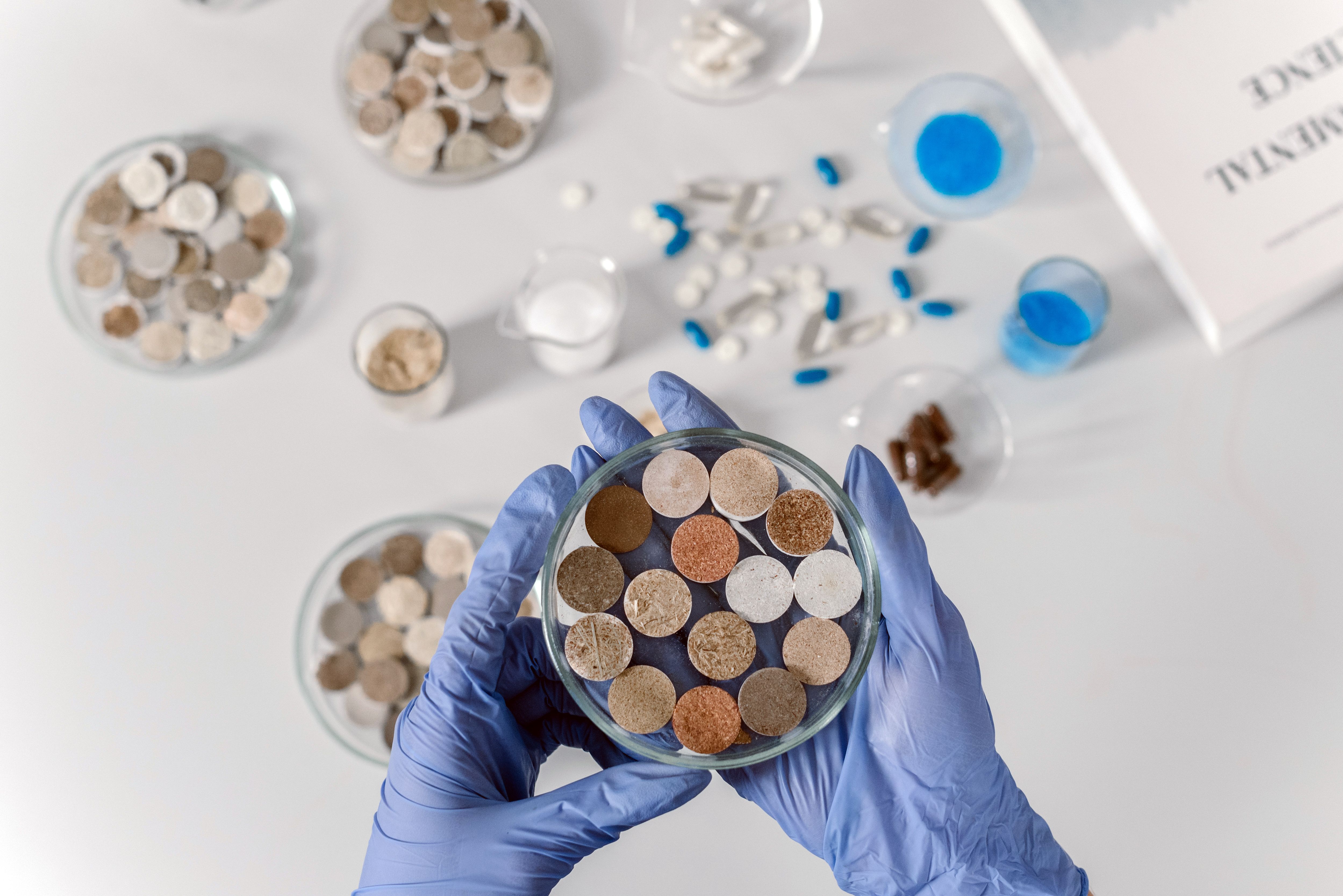 scientist examining laboratory samples