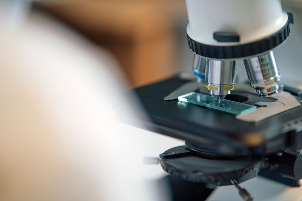 laboratory microscope and slides