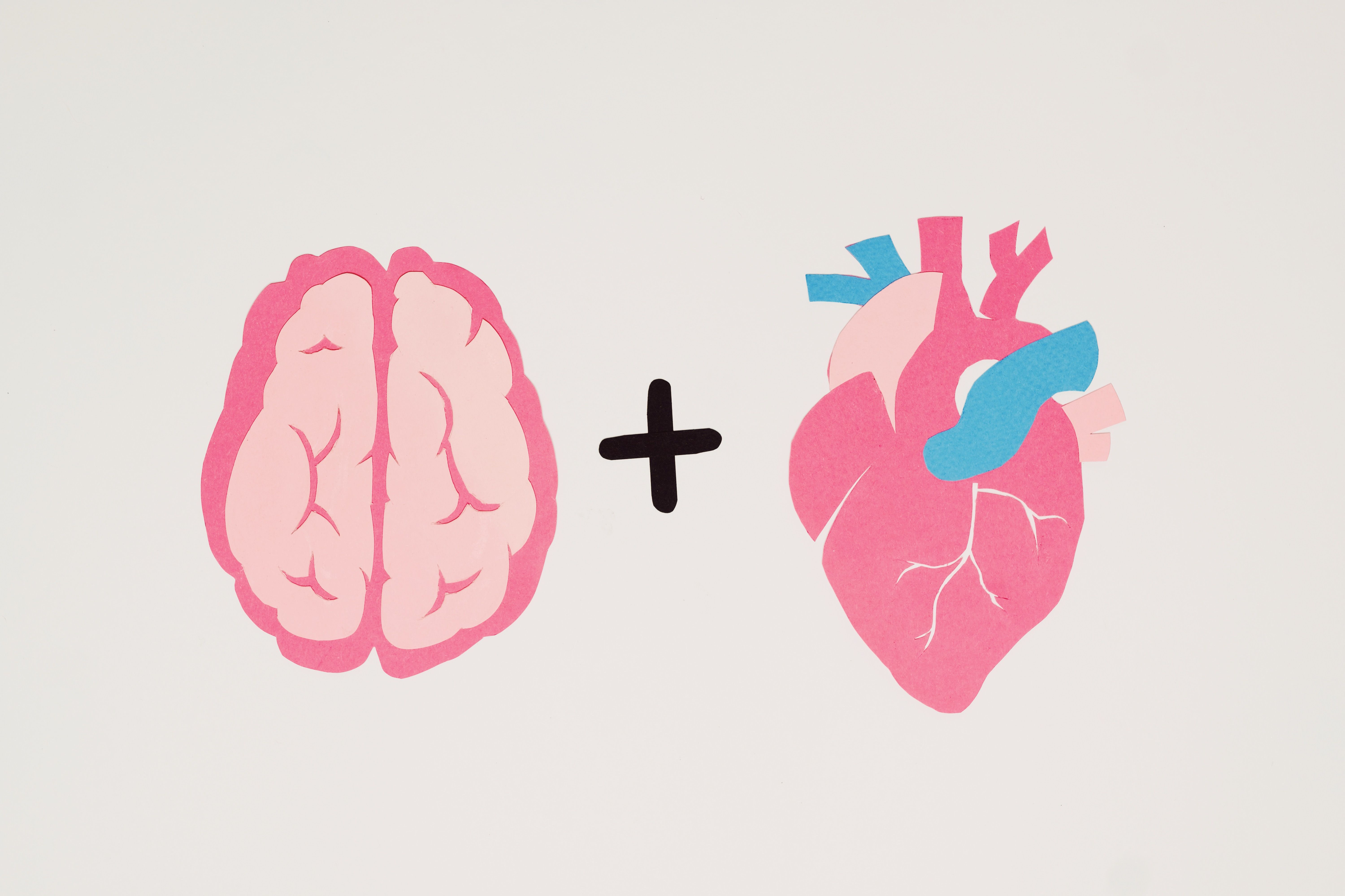 ultrasound waves brain illustration