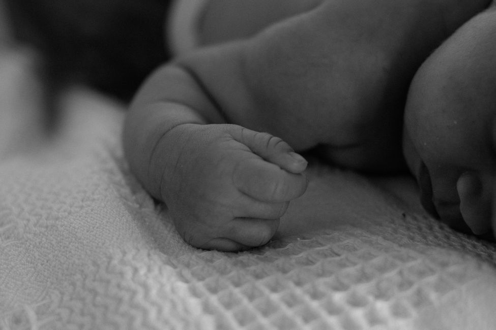 Picture for The Unexpected Connection Between Birth, Gut Bacteria, and Neurodevelopment